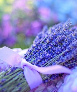 Kinkekaardid  Ι Foodini Heaolupood Ι